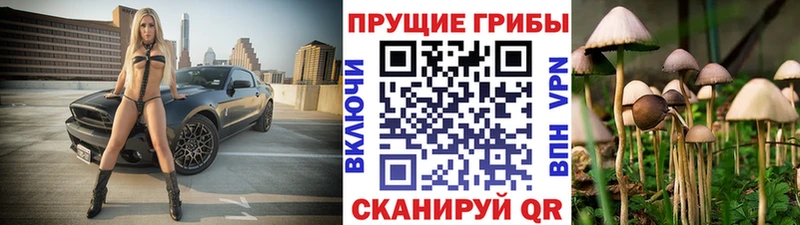 Псилоцибиновые грибы Magic Shrooms  купить закладку  OMG ссылки  Мостовской 